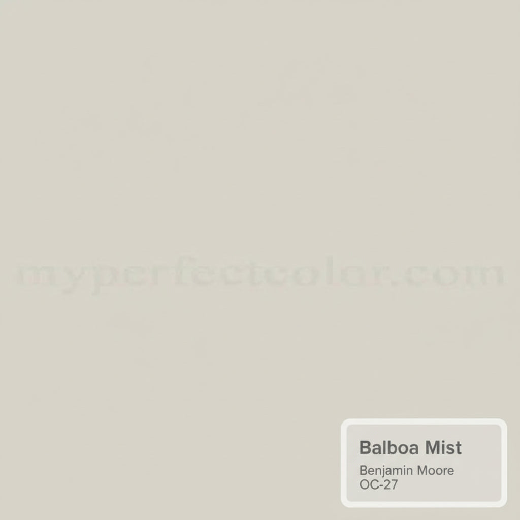 CEDARS KITTY GRAY-BALBOA Mist