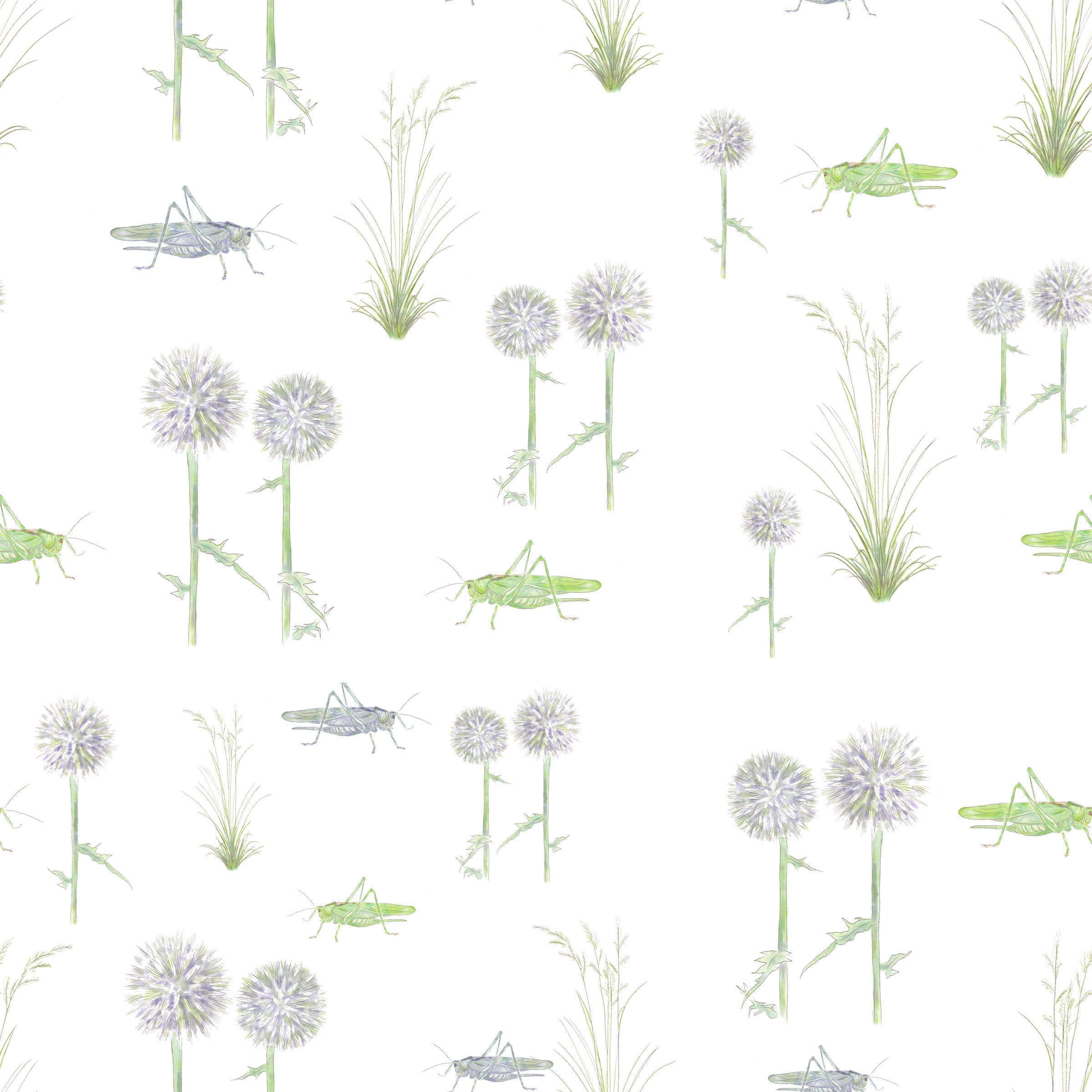 Grasshoppers, Globe Thistle and Grass Print