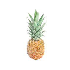 Pineapple Art Print